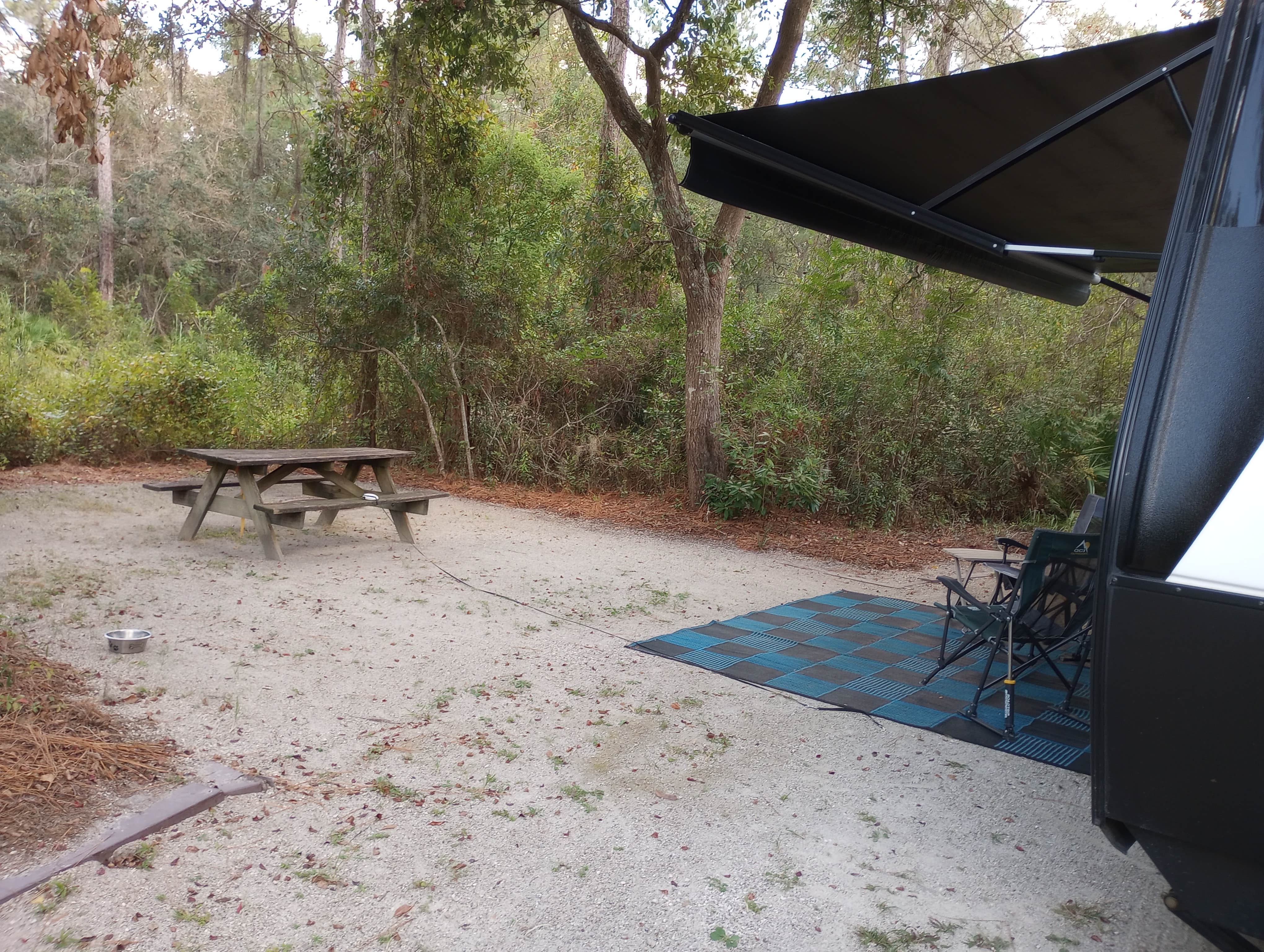 William N.'s photo at Stephen Foster Folk Culture Center State Park Campground near Osceola National Forest