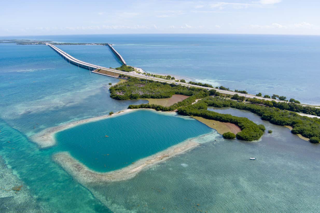 Camper-submitted photo at Big Pine Key RV Park near Marathon Shores, FL