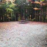 Review photo of Sugarloaf 2 Campground by Jean C., November 1, 2018