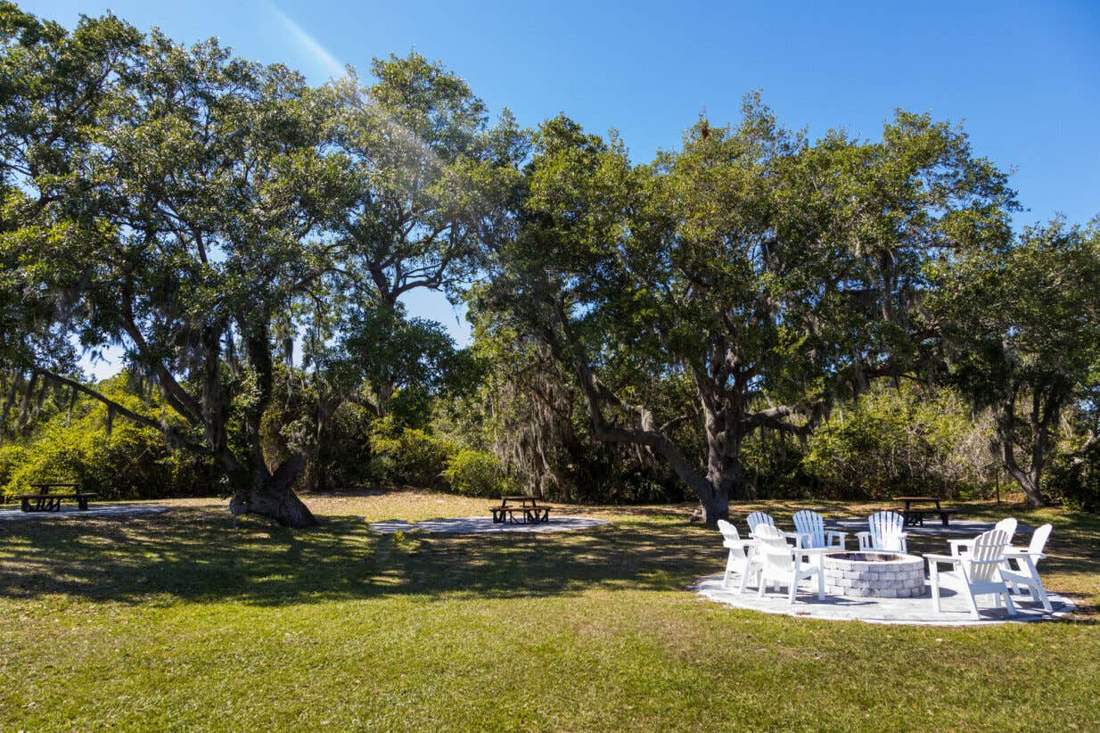 Camper-submitted photo at River Vista RV Park near Gibsonton, FL
