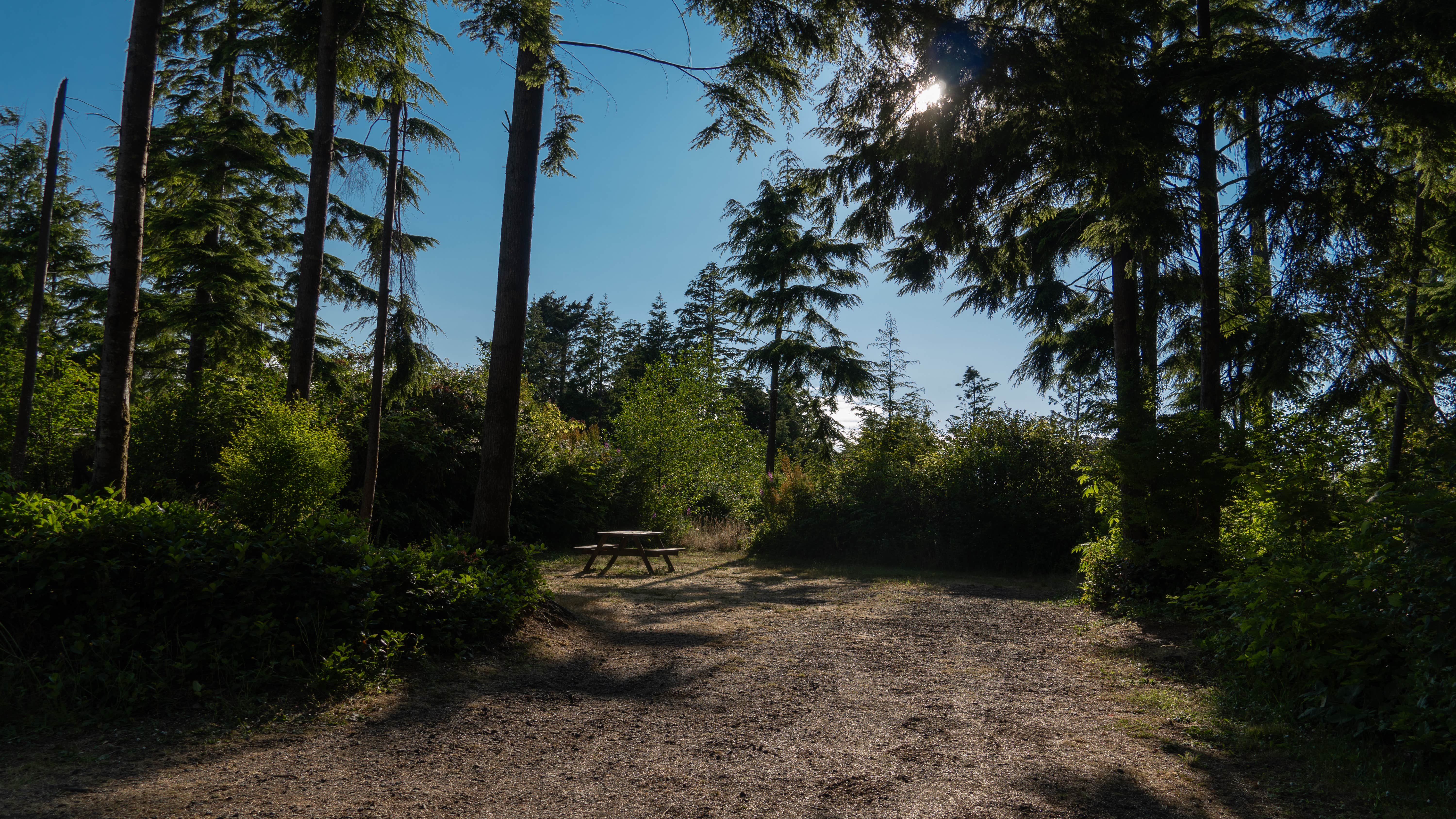 Camper-submitted photo at Ocean Breeze RV Resort - KM Resorts near Ocean Shores, WA