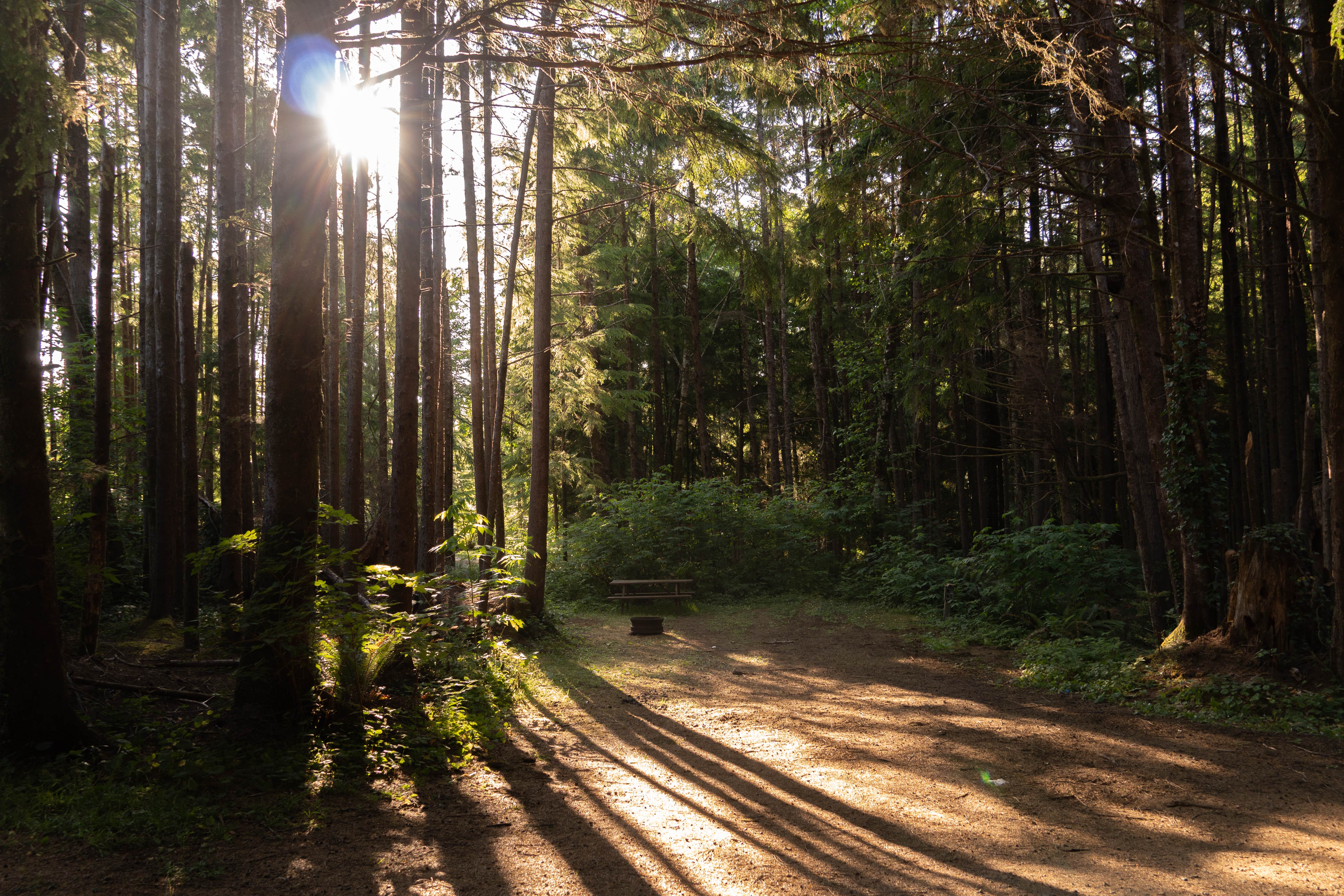 Camper-submitted photo at Ocean Breeze RV Resort - KM Resorts near Ocean Shores, WA