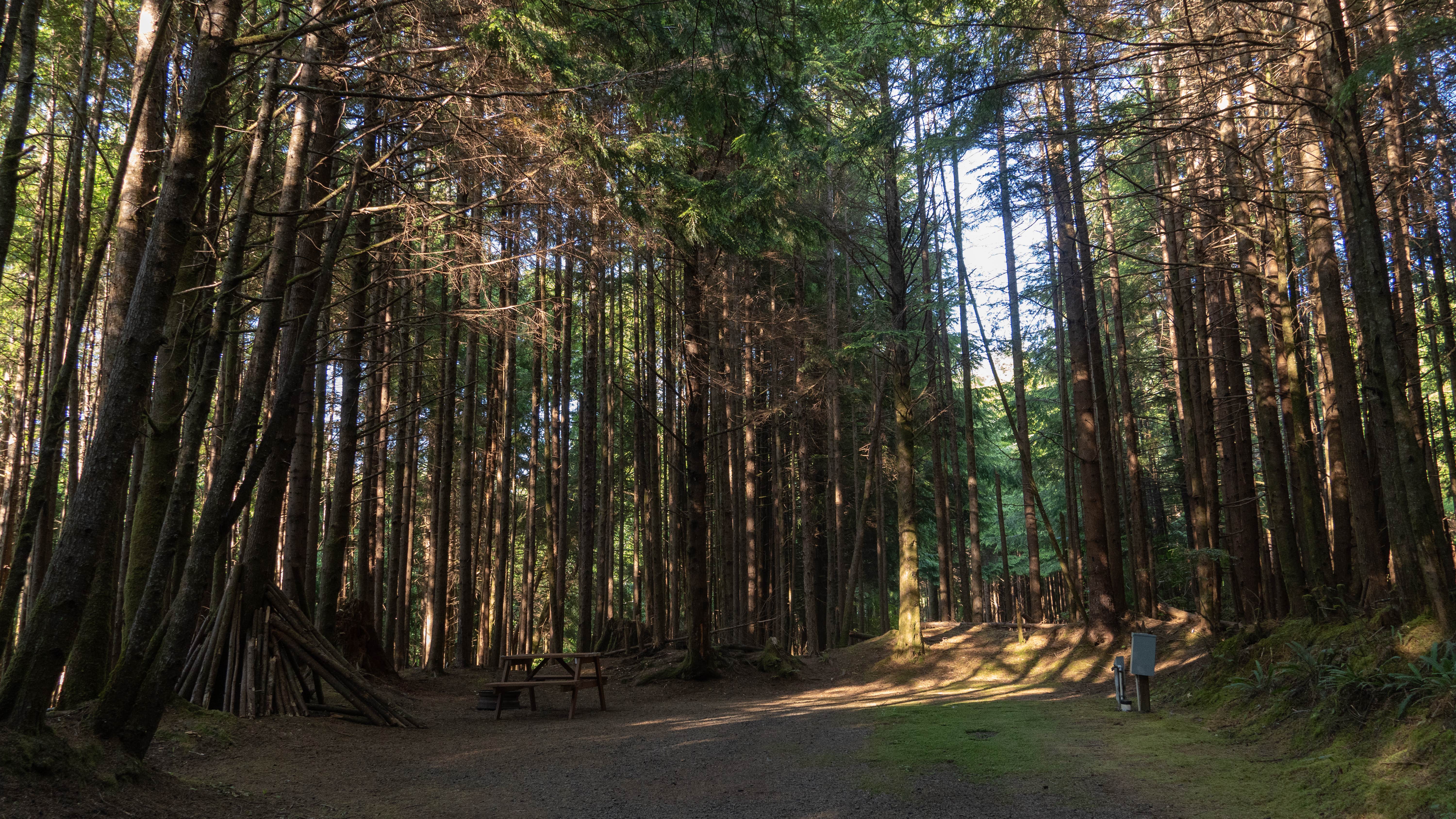 Camper-submitted photo at Ocean Breeze RV Resort - KM Resorts near Ocean Shores, WA