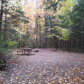 Review photo of Sugarloaf 2 Campground by Jean C., November 1, 2018