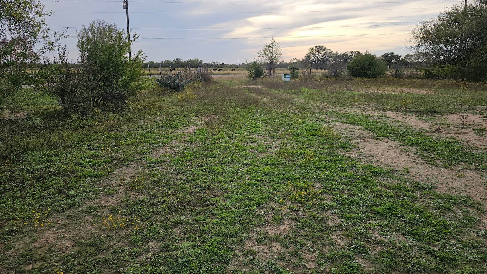 Camper submitted image from Everfree Shire Ranch - ROUGH AND ROWDY RE-OPENING! - 2