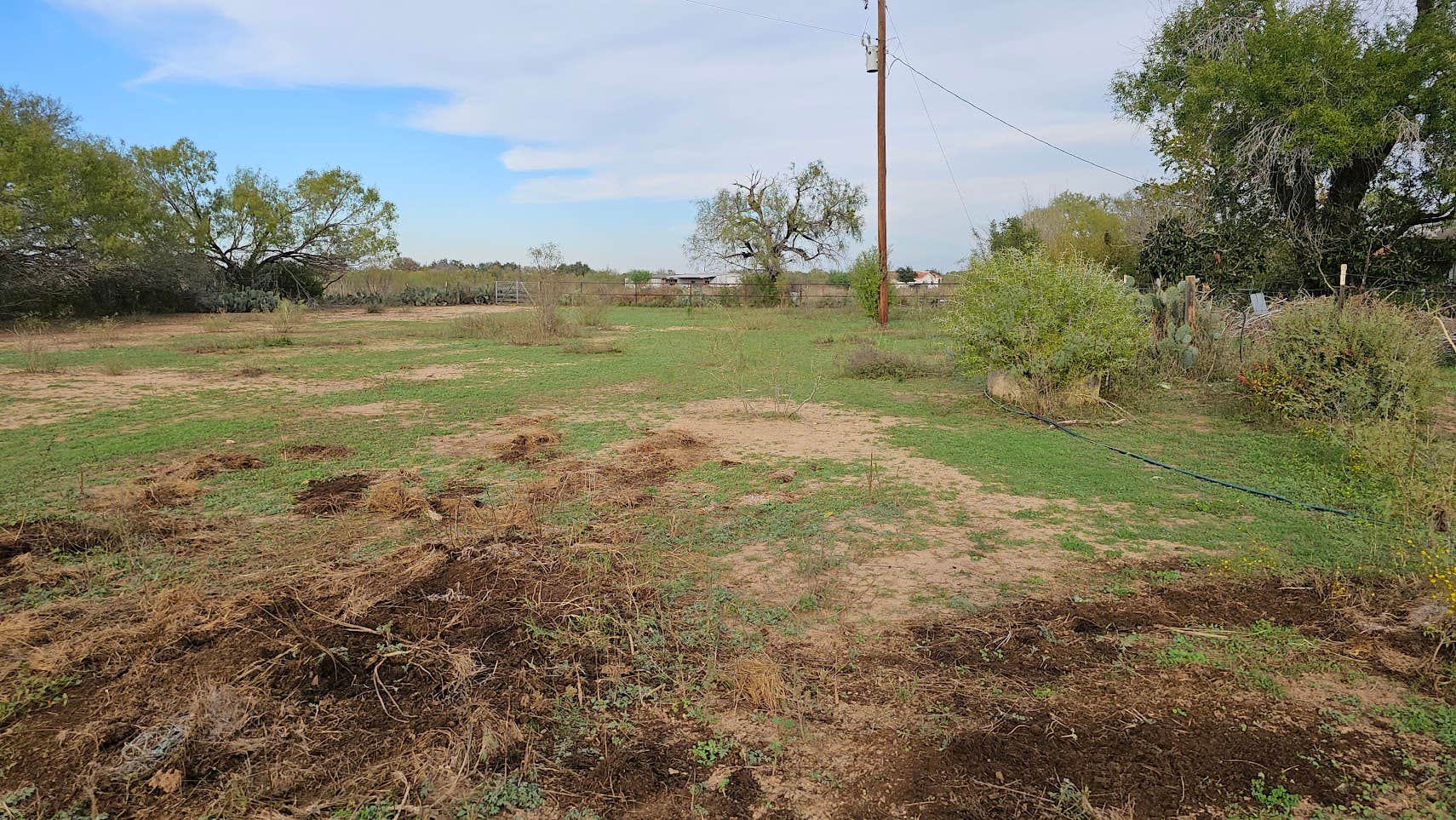 Camper-submitted photo at Everfree Shire Ranch near Pearsall, TX