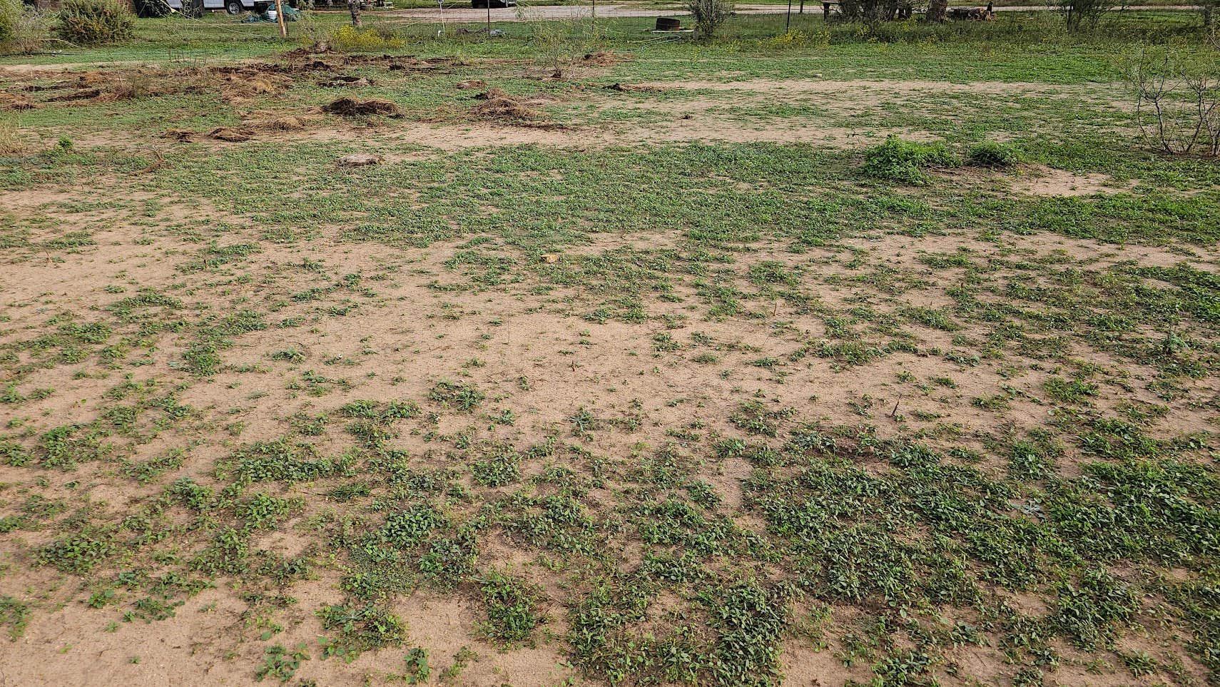 Camper-submitted photo at Everfree Shire Ranch near Pearsall, TX