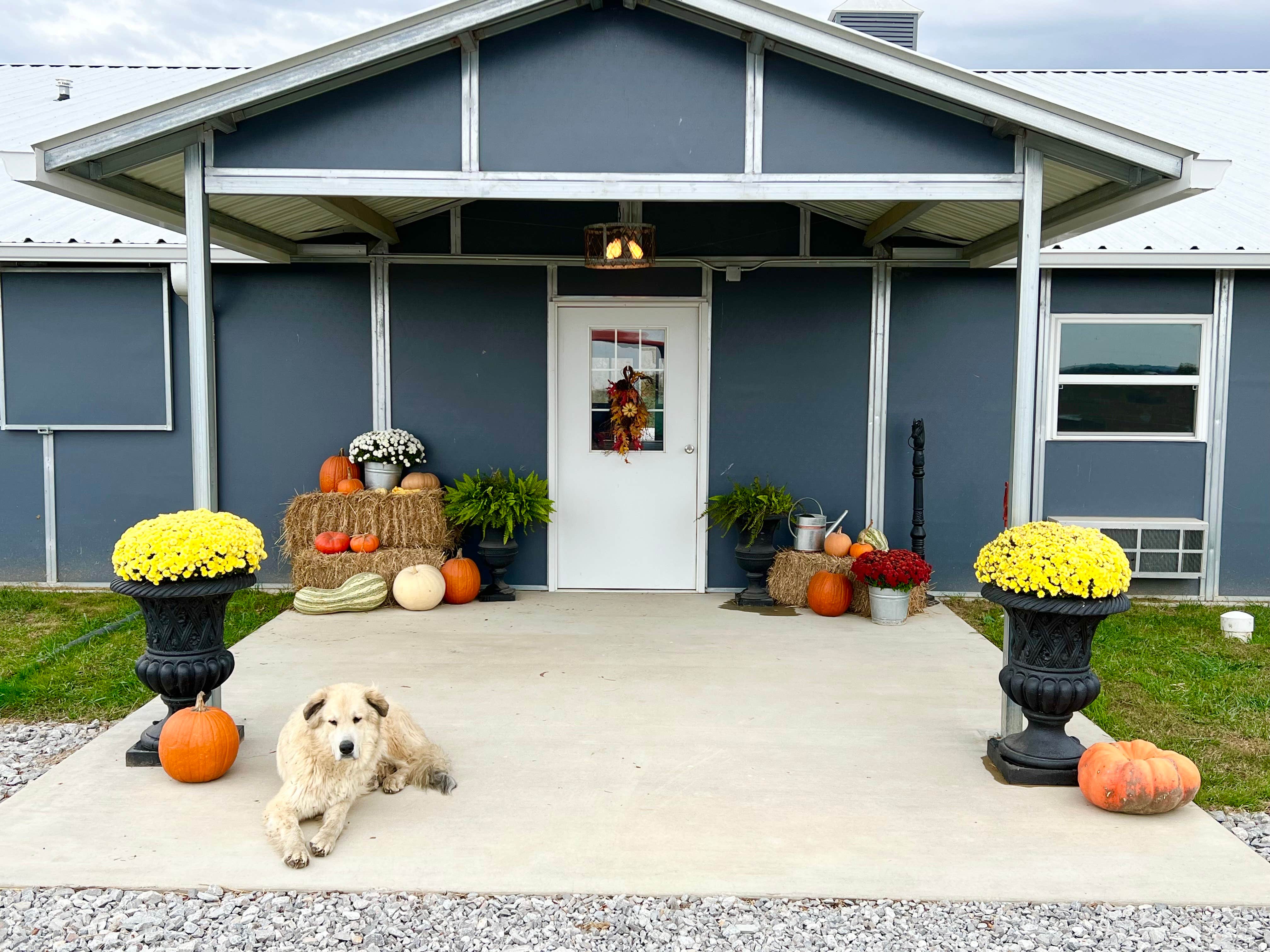 David F.'s photo of camping with pets at Ravenscroft near Georgetown, KY