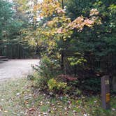 Review photo of Sugarloaf 2 Campground by Jean C., November 1, 2018