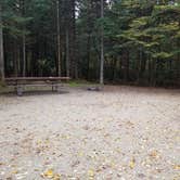 Review photo of Sugarloaf 2 Campground by Jean C., November 1, 2018