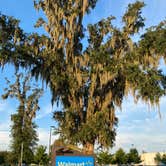 Review photo of Walmart — Gainesville Supercenter by Stuart K., December 3, 2023