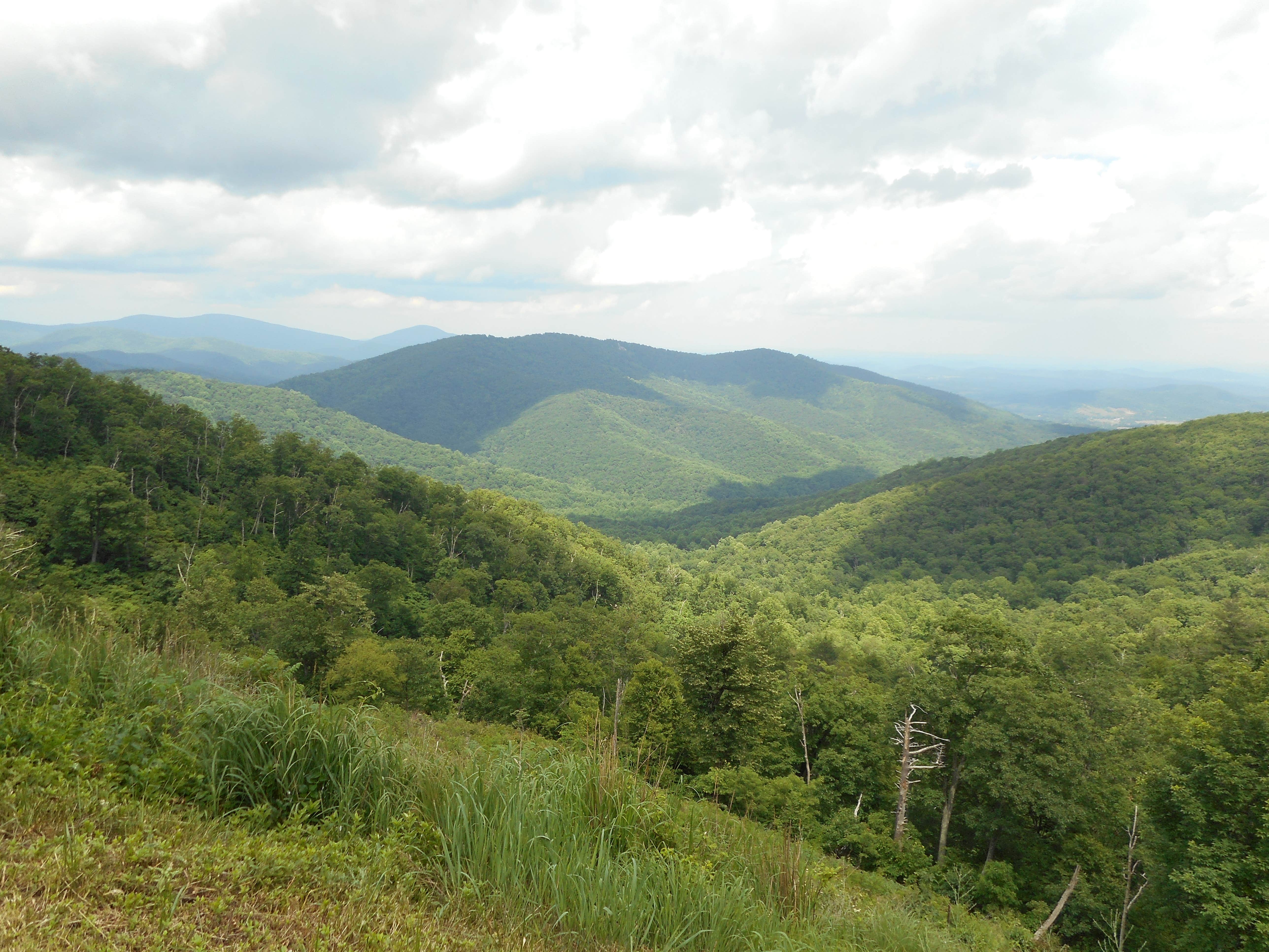 Camper submitted image from Big Meadows Campground — Shenandoah National Park - 1