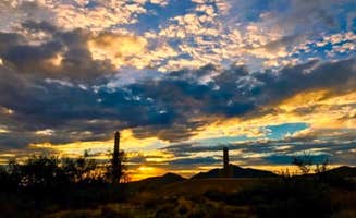 Audrey R.'s photo of a dispersed camping area at Bartlett Reservoir near Phoenix, AZ