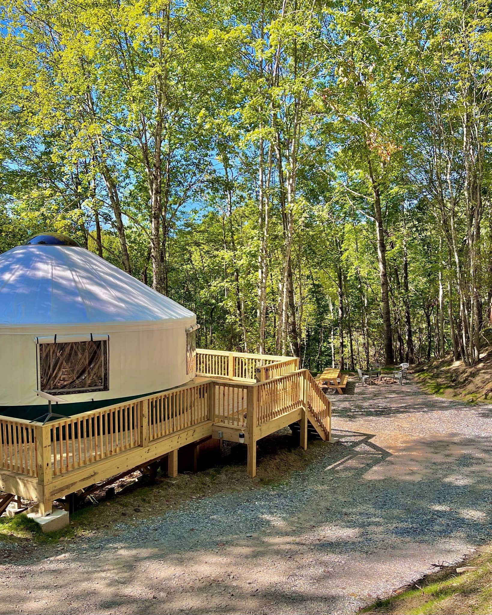 Carson G.'s photo of glamping accommodations at Pala Chino Yurt near Topton, NC