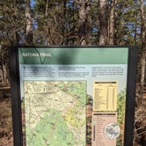 Review photo of Batona — Wharton State Forest by Trip Over Life , December 4, 2023