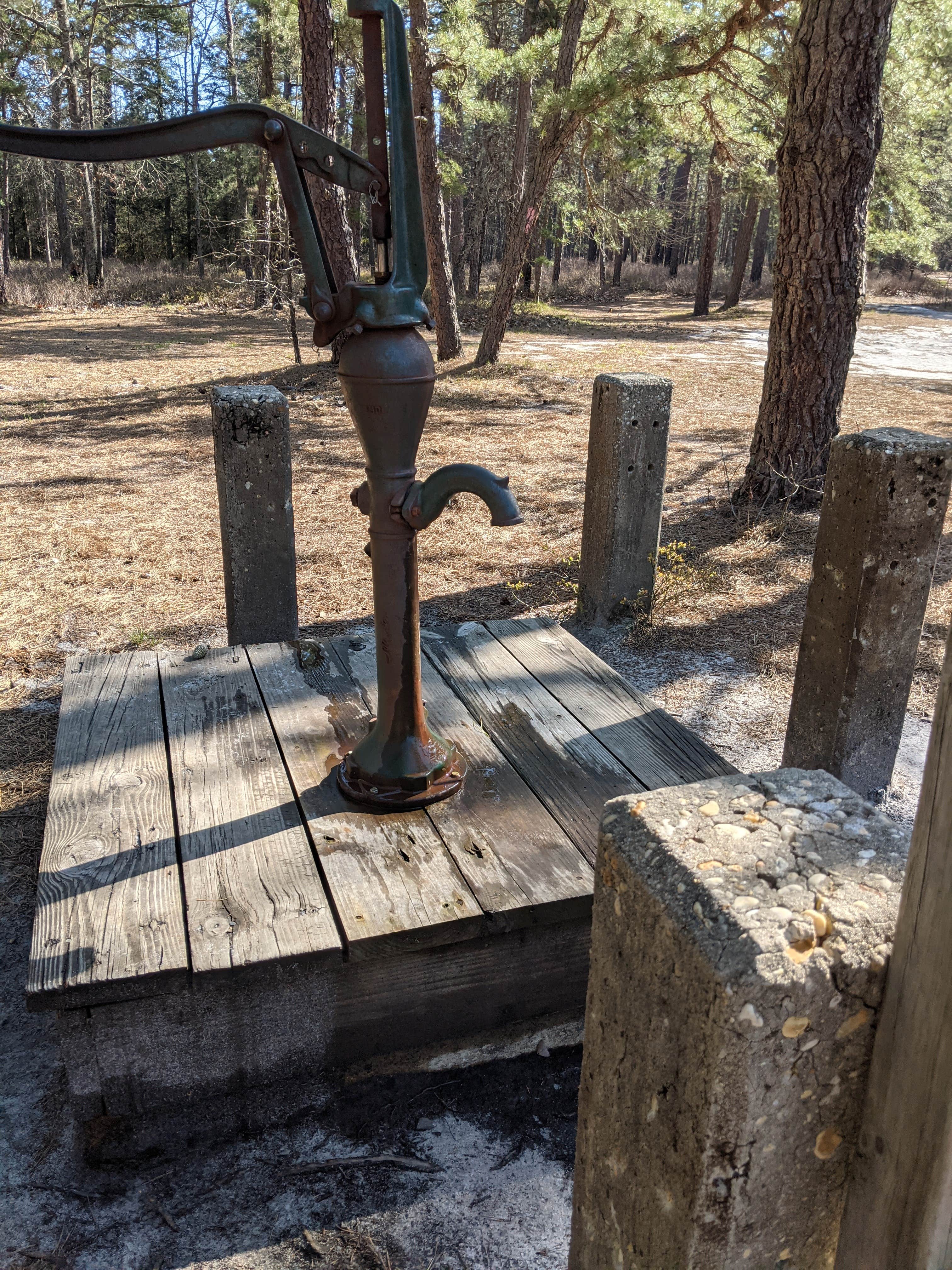 Camper-submitted photo at Batona — Wharton State Forest near Lacey, NJ