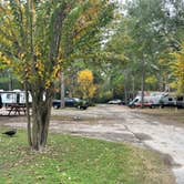 Review photo of Lone Star Lakes RV Park by Erich H., December 4, 2023