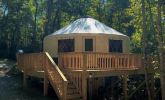 Camping near Otter Creek Luxury Yurt: Pala Chino, Nantahala National Forest, North Carolina