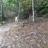 Review photo of Group Campground near Blue Mountain Shelter by Asher K., November 1, 2018