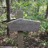 Review photo of Group Campground near Blue Mountain Shelter by Asher K., November 1, 2018