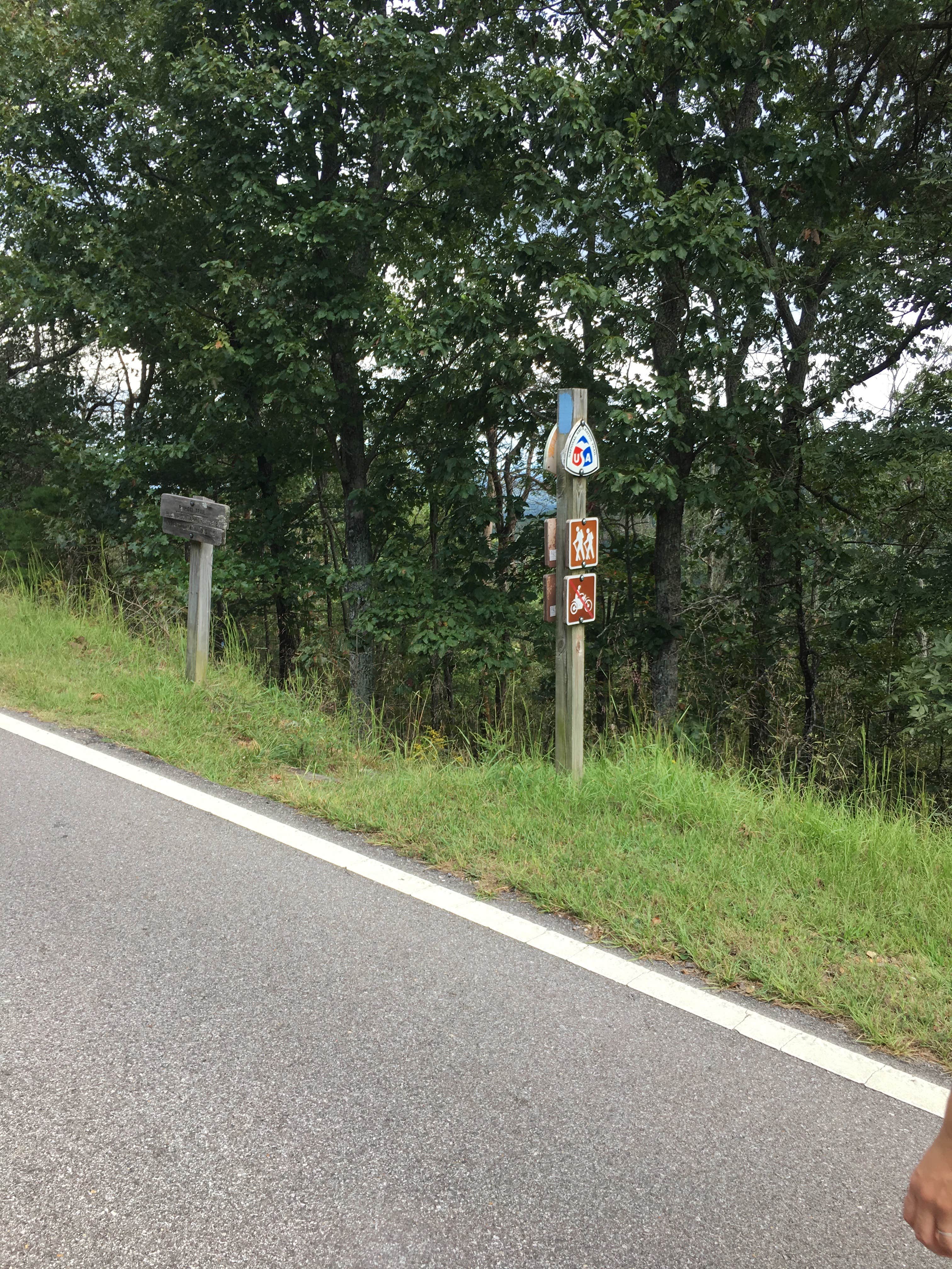 Camper-submitted photo at Group Camp near Blue Mountain Shelter — Cheaha State Park near Heflin, AL