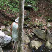 Review photo of Group Campground near Blue Mountain Shelter by Asher K., November 1, 2018