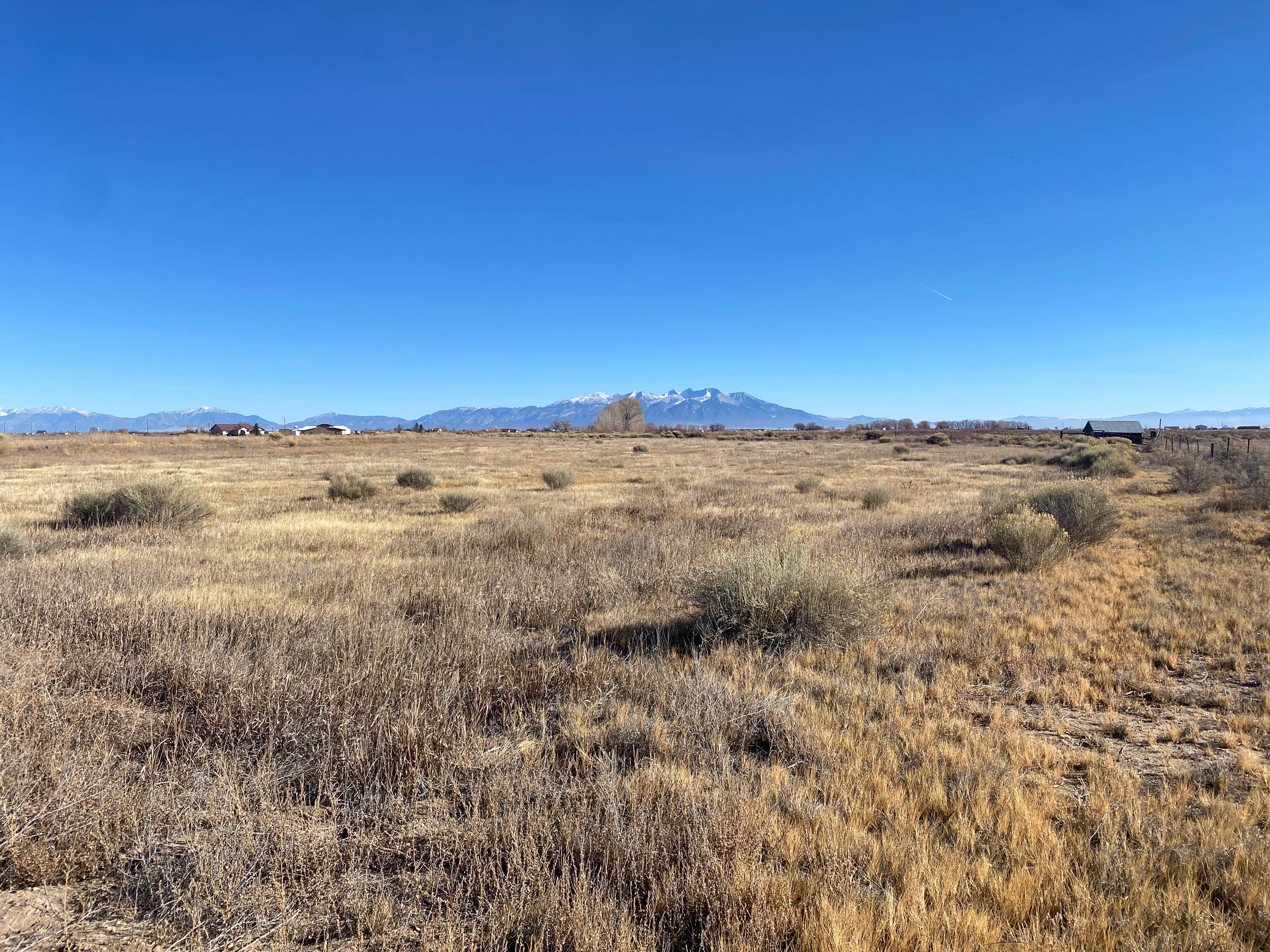 Camping near Alamosa KOA: Wild Sunflower Homestead, Alamosa, Colorado