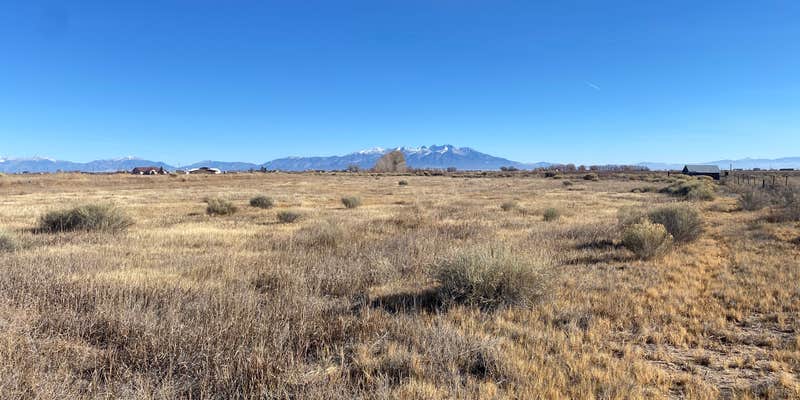 Camper submitted image from Wild Sunflower Homestead