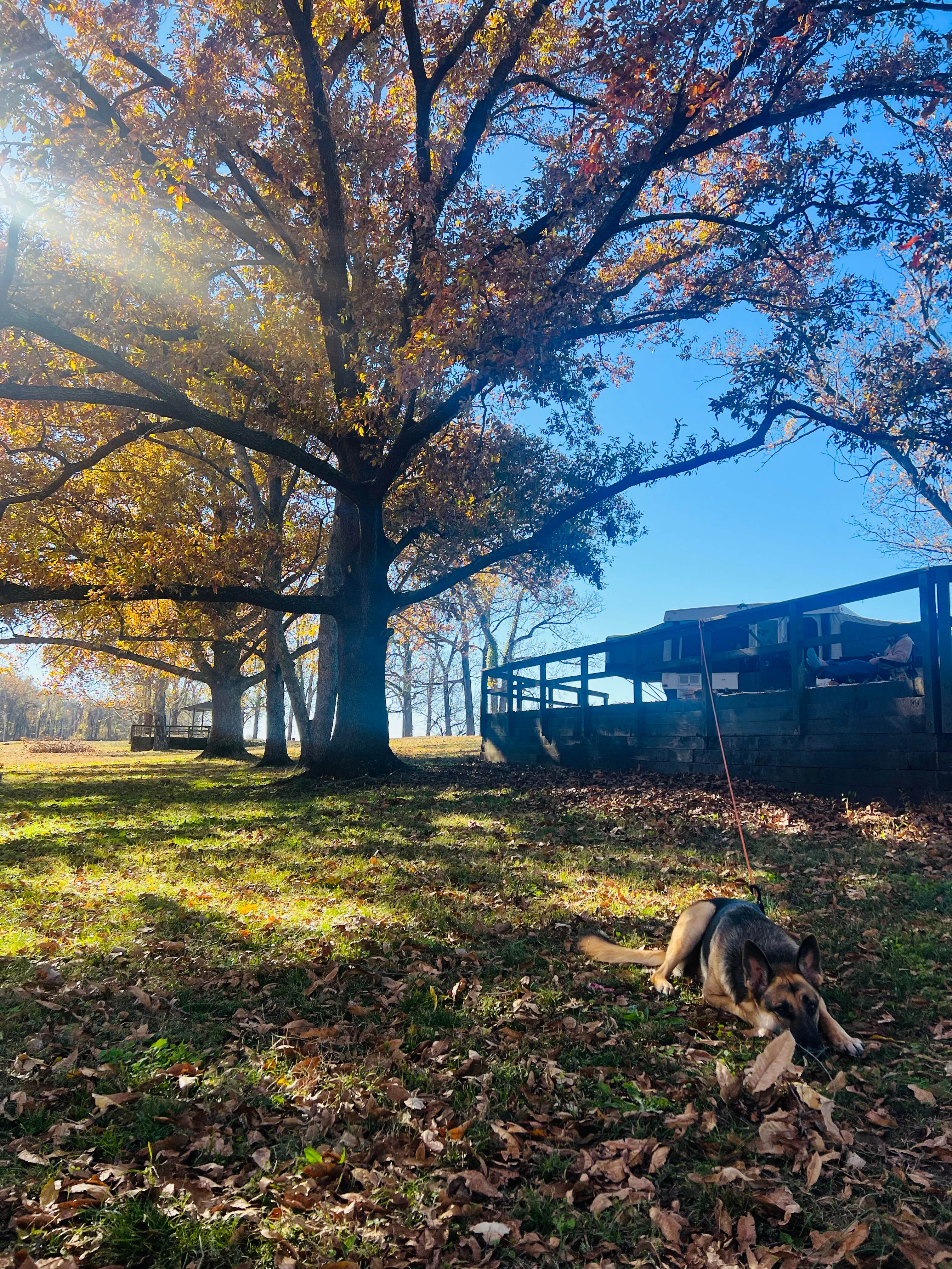 Camper submitted image from Pendleton Bend - 5