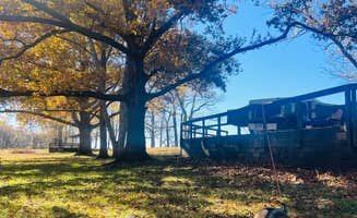 Ashley F.'s photo of camping with pets at Pendleton Bend near St. Charles, AR