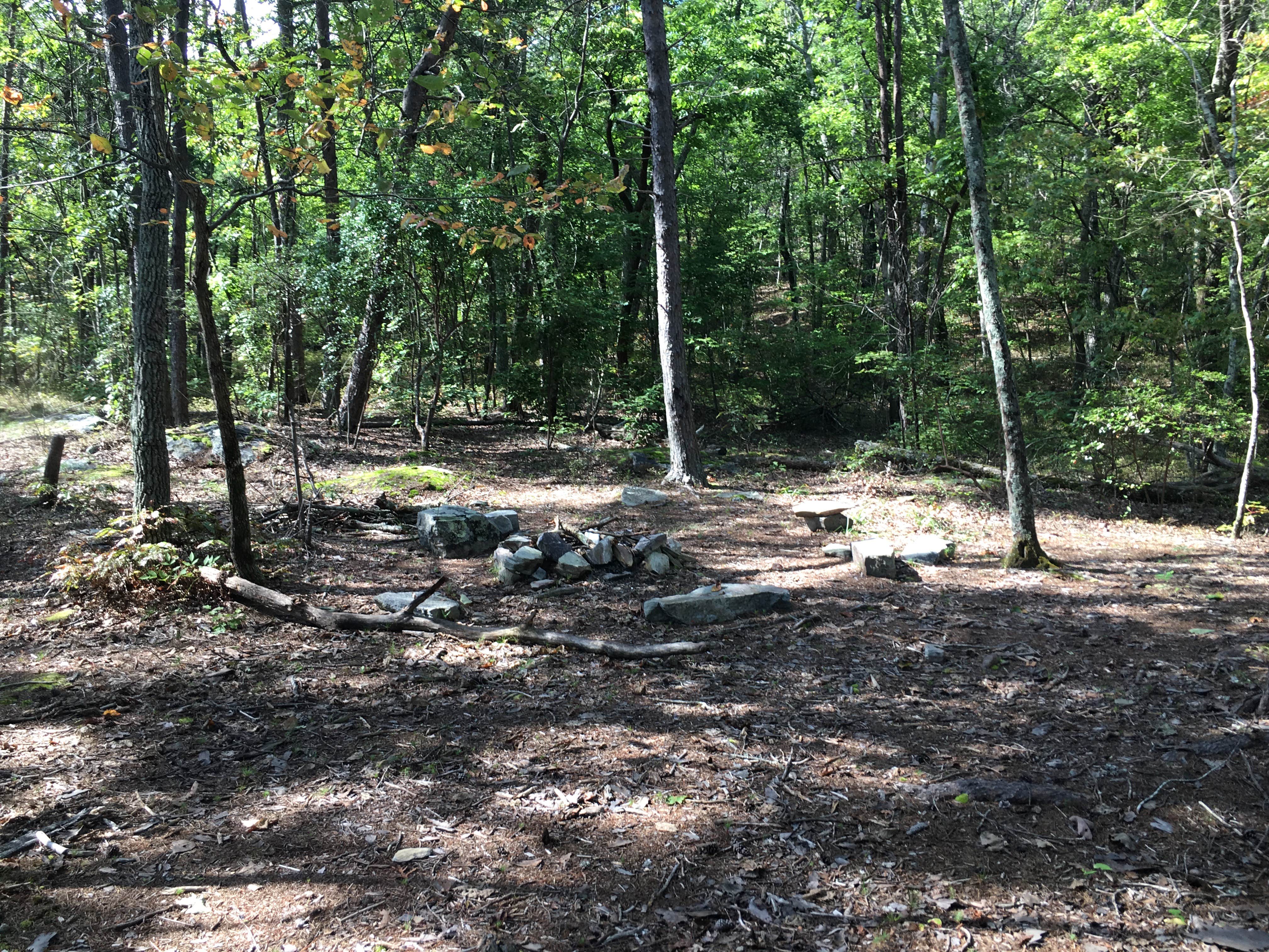 Camper-submitted photo at Group Camp near Blue Mountain Shelter — Cheaha State Park near Heflin, AL