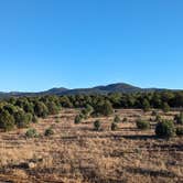 Review photo of North Star Mesa Dispersed Camping by Jorge G., December 5, 2023