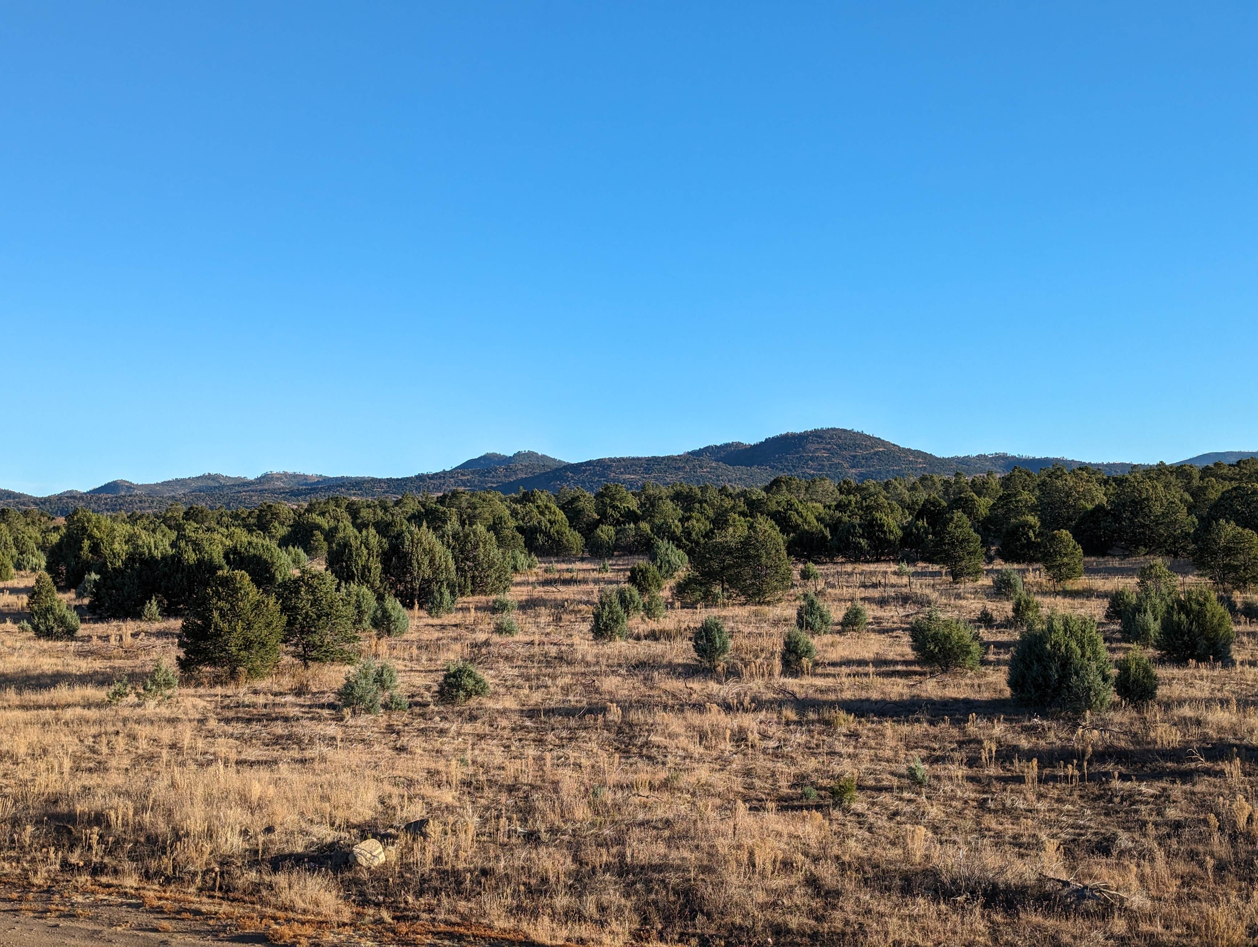 Camper submitted image from North Star Mesa Dispersed Camping - 1