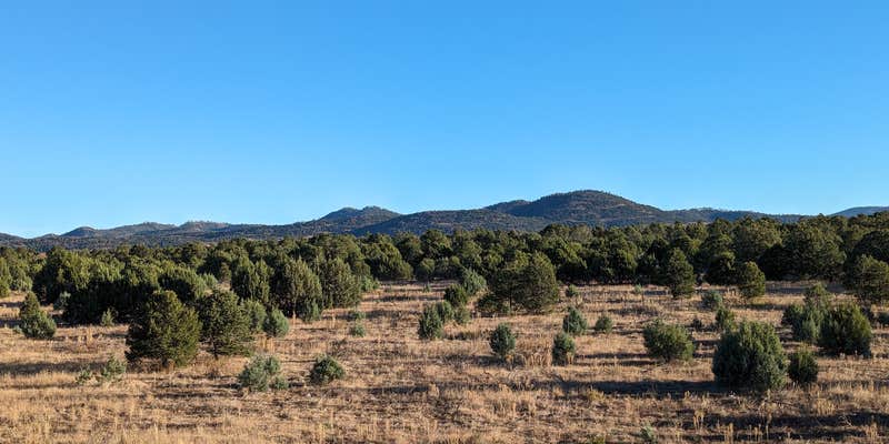 Camper submitted image from North Star Mesa Dispersed Camping