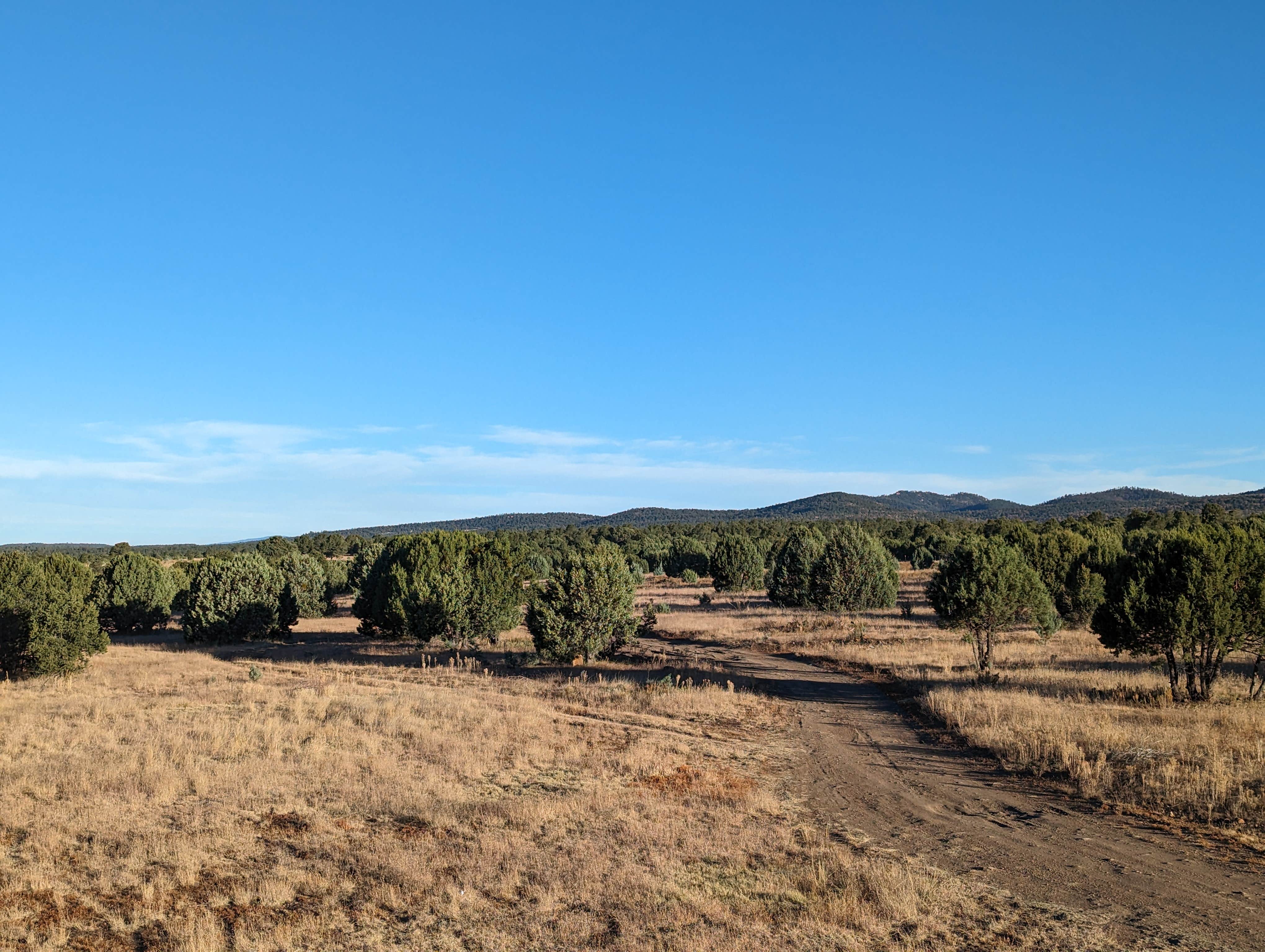 Camper-submitted photo at North Star Mesa Dispersed Camping near Elephant Butte, NM