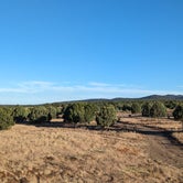 Review photo of North Star Mesa Dispersed Camping by Jorge G., December 5, 2023