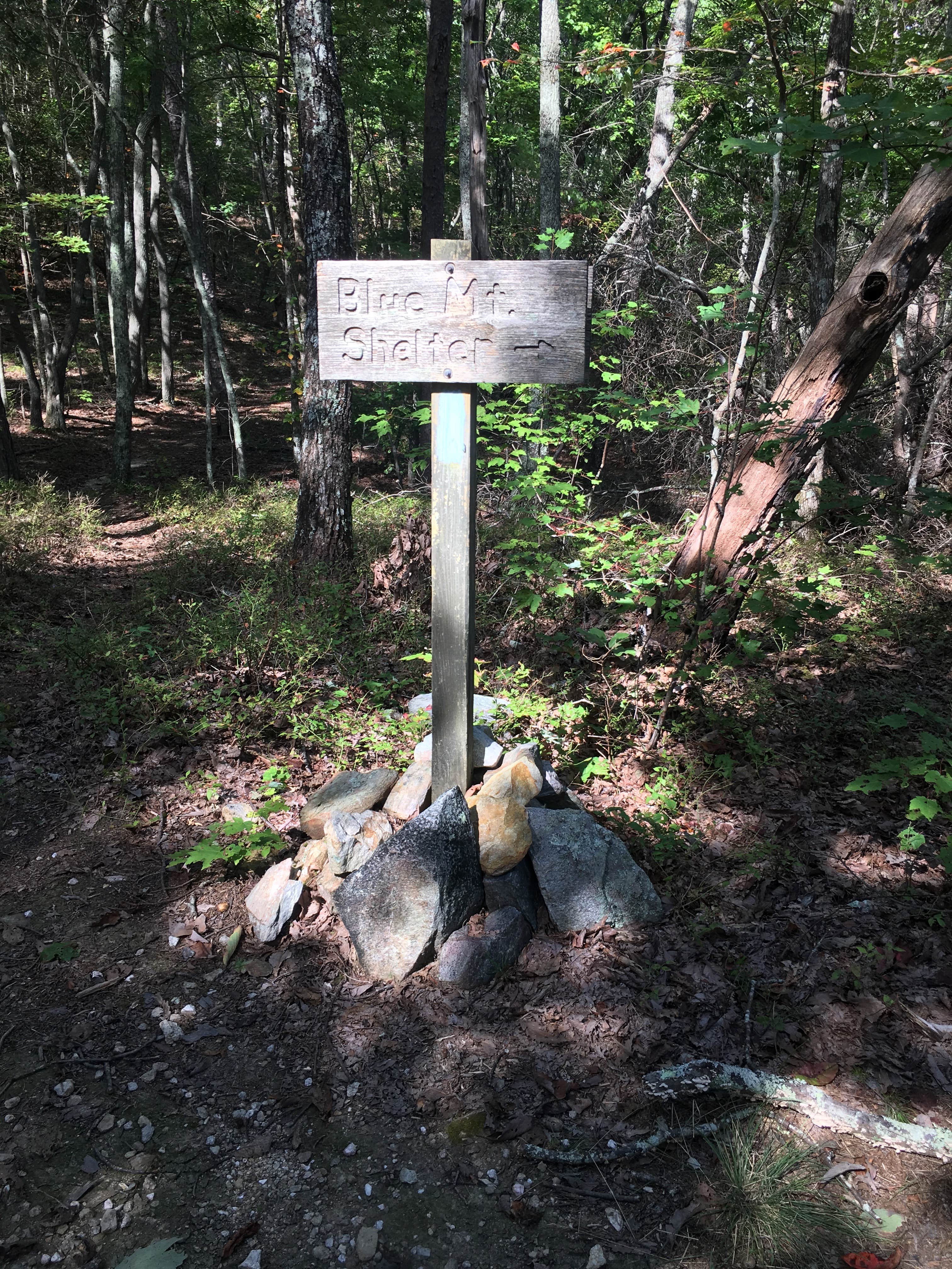 Camper-submitted photo at Group Camp near Blue Mountain Shelter — Cheaha State Park near Heflin, AL