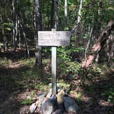 Review photo of Group Campground near Blue Mountain Shelter by Asher K., November 1, 2018