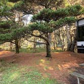 Review photo of Cape Disappointment State Park Campground by MickandKarla W., December 6, 2023