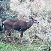 Review photo of Cape Disappointment State Park Campground by MickandKarla W., December 6, 2023