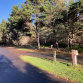 Review photo of Cape Disappointment State Park Campground by MickandKarla W., December 6, 2023