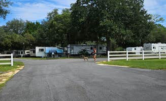 Lani K.'s photo of camping with pets at Cooper Lake RV Community near Micanopy, FL