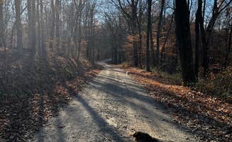 Reuben R.'s photo of camping with pets at Berry Ridge Road - Dispersed Camping near Clear Creek, IN