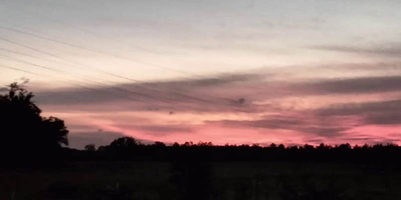 Camper submitted image from Infinite Farms