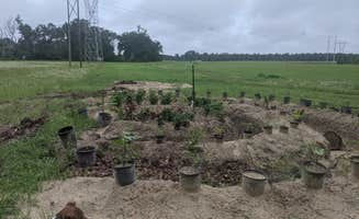 Infinite T.'s photo of camping with pets at Infinite Farms near Osceola National Forest