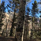Review photo of Matterhorn — Grand Mesa, Uncompahgre And Gunnison National Forest by Crystal C., August 8, 2018