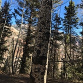 Review photo of Matterhorn Campground by Crystal C., August 8, 2018