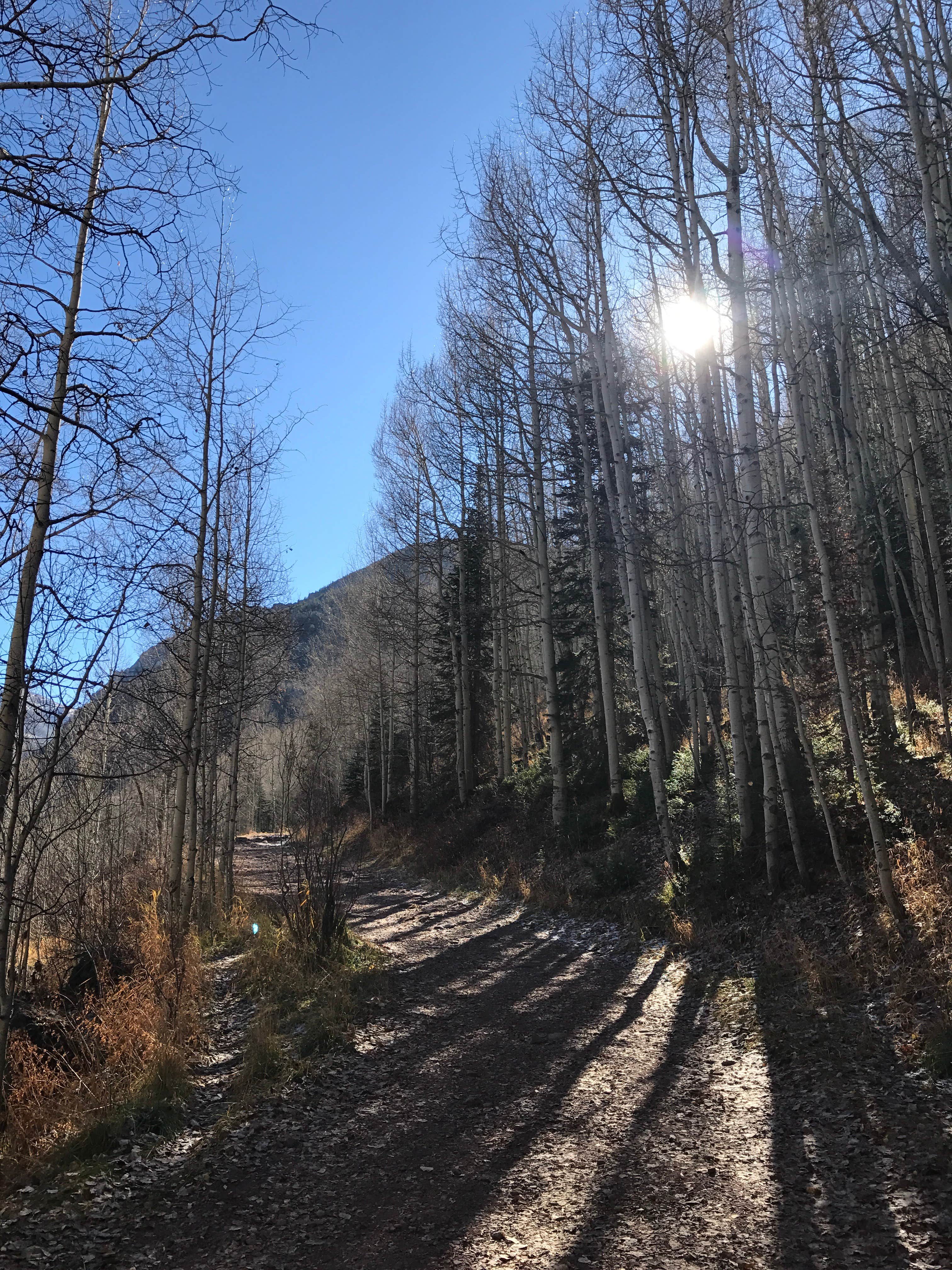 Camper submitted image from Matterhorn — Grand Mesa, Uncompahgre And Gunnison National Forest - 3