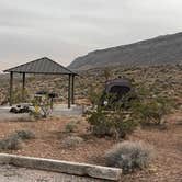 Review photo of Red Rock Canyon National Conservation Area - Red Rock Campground by Lee D., December 8, 2023