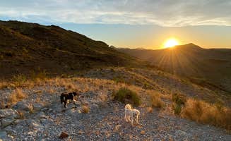 Terlingua R.'s photo of camping with pets at Terlingua Ranch Primitive Camping near Big Bend National Park